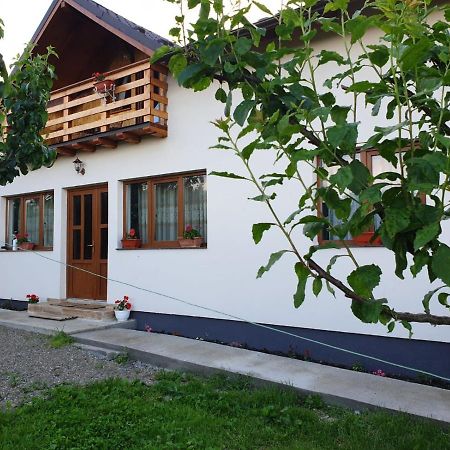 Pensiunea Ilea Ieud Экстерьер фото