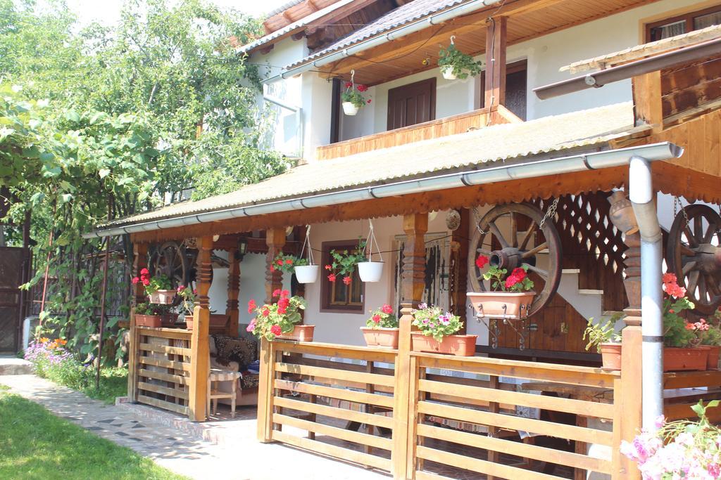 Pensiunea Ilea Ieud Экстерьер фото