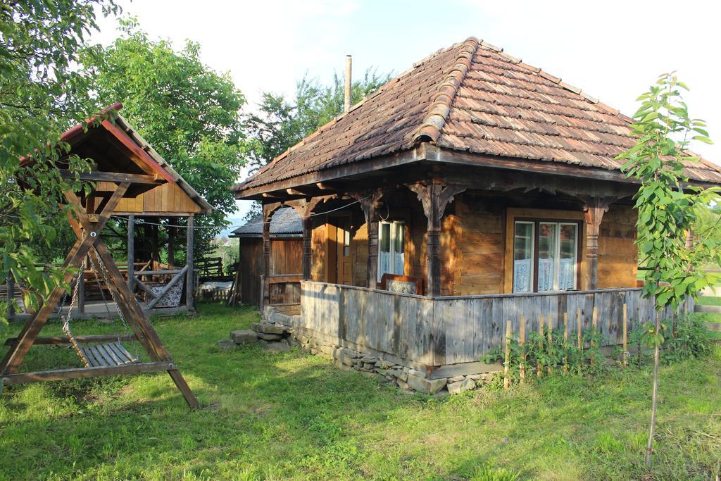 Pensiunea Ilea Ieud Экстерьер фото