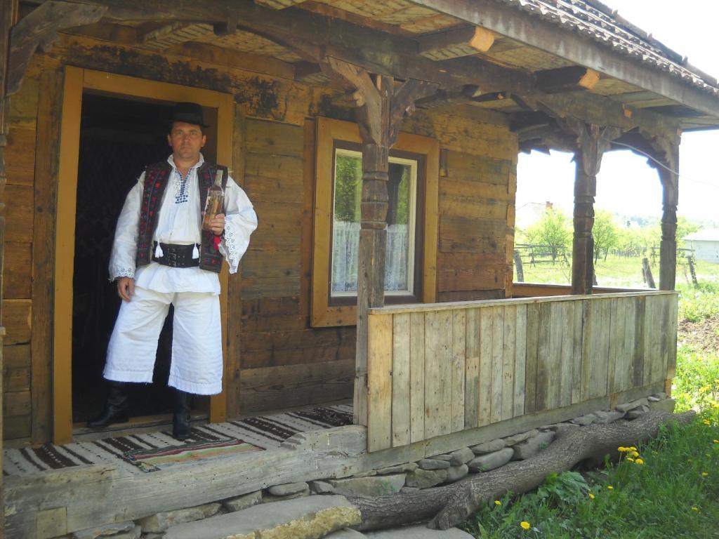 Pensiunea Ilea Ieud Экстерьер фото