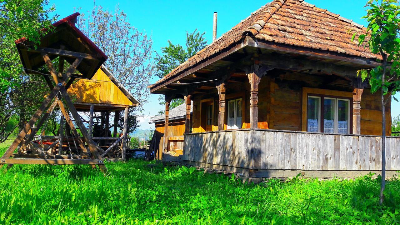 Pensiunea Ilea Ieud Экстерьер фото